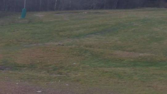 Chalmazel - Les Campanules