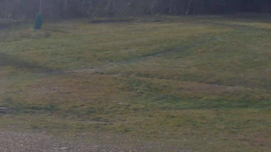 Chalmazel - Les Campanules