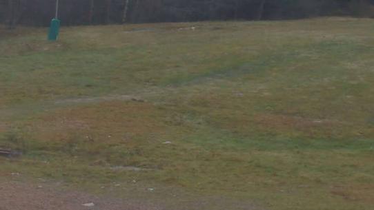 Chalmazel - Les Campanules