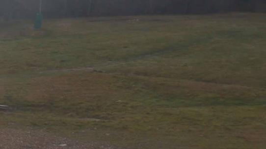 Chalmazel - Les Campanules