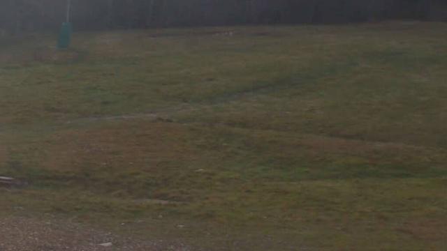 Chalmazel - Les Campanules