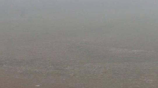 Chalmazel - Les Campanules