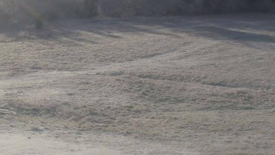 Chalmazel - Les Campanules