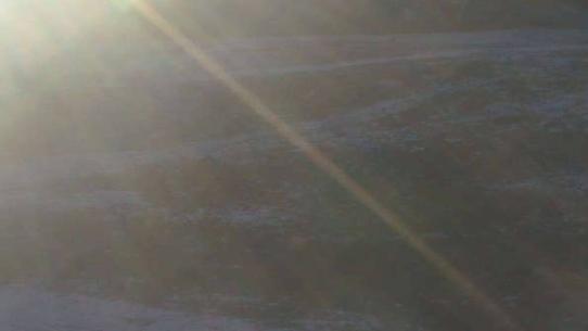 Chalmazel - Les Campanules