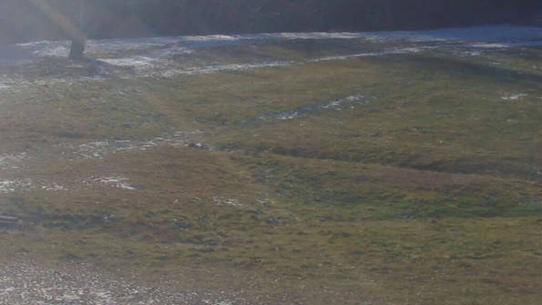 Chalmazel - Les Campanules