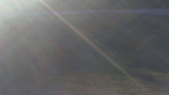 Chalmazel - Les Campanules