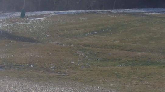 Chalmazel - Les Campanules