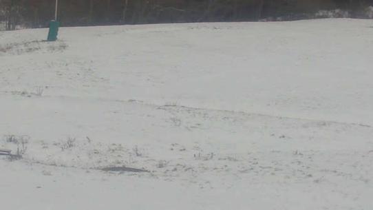 Chalmazel - Les Campanules