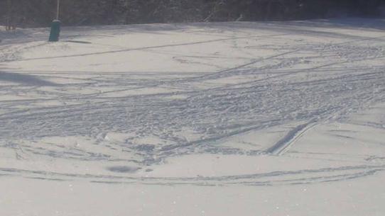 Chalmazel - Les Campanules