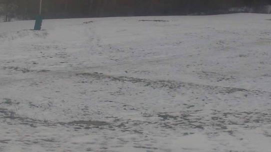 Chalmazel - Les Campanules