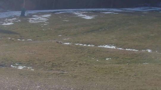 Chalmazel - Les Campanules