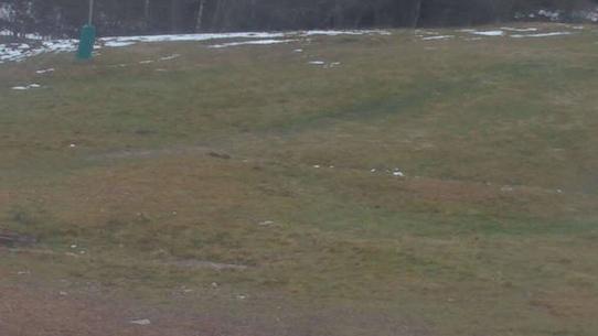 Chalmazel - Les Campanules