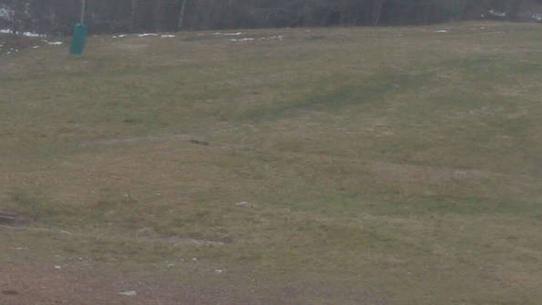 Chalmazel - Les Campanules