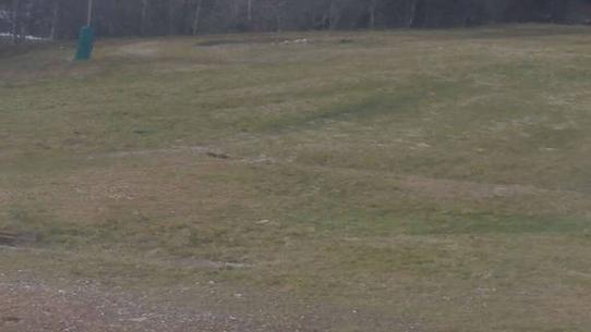 Chalmazel - Les Campanules