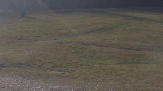 Chalmazel - Les Campanules