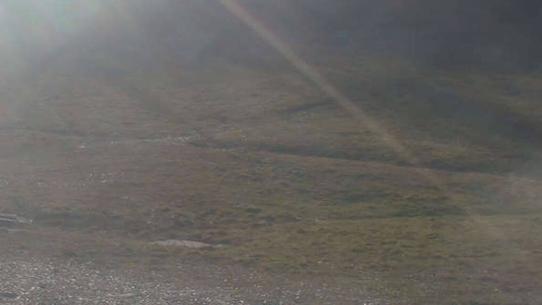 Chalmazel - Les Campanules