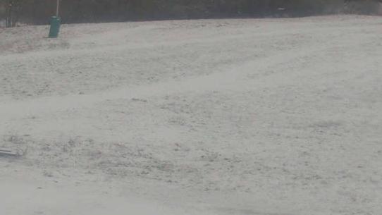 Chalmazel - Les Campanules