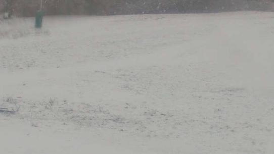 Chalmazel - Les Campanules