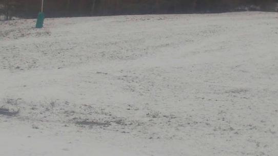 Chalmazel - Les Campanules