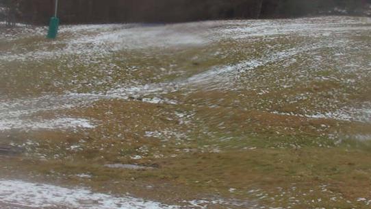 Chalmazel - Les Campanules