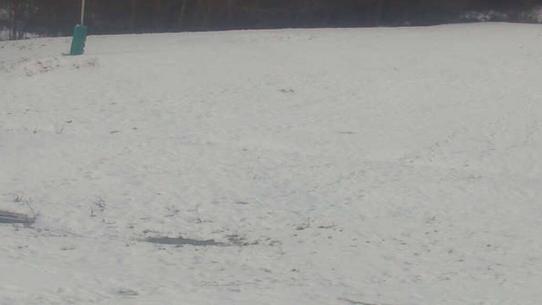 Chalmazel - Les Campanules