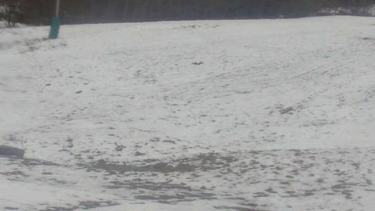 Chalmazel - Les Campanules