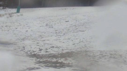 Chalmazel - Les Campanules