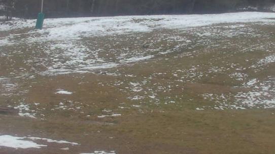 Chalmazel - Les Campanules