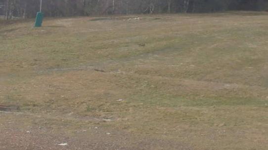 Chalmazel - Les Campanules