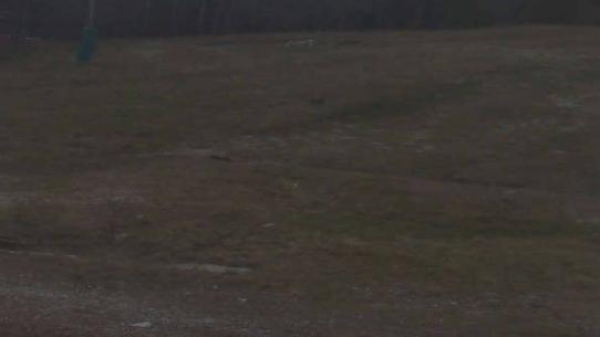 Chalmazel - Les Campanules