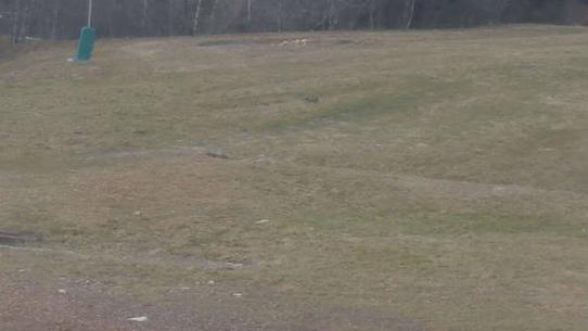 Chalmazel - Les Campanules