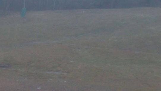 Chalmazel - Les Campanules