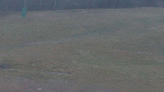 Chalmazel - Les Campanules