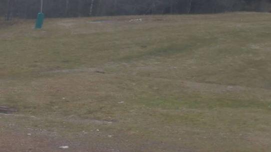 Chalmazel - Les Campanules