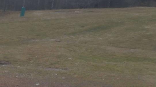 Chalmazel - Les Campanules