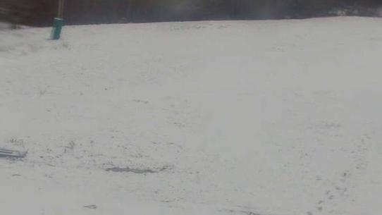 Chalmazel - Les Campanules