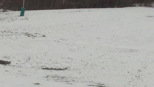 Chalmazel - Les Campanules