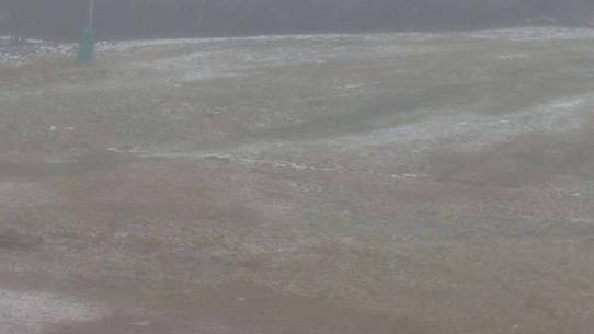 Chalmazel - Les Campanules