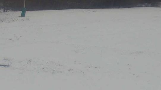 Chalmazel - Les Campanules