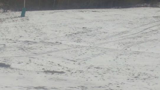 Chalmazel - Les Campanules