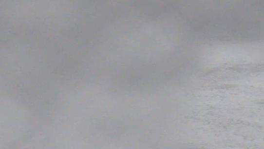 Chalmazel - Les Campanules