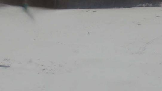 Chalmazel - Les Campanules