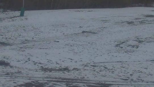 Chalmazel - Les Campanules