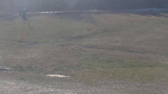 Chalmazel - Les Campanules