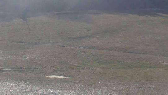 Chalmazel - Les Campanules