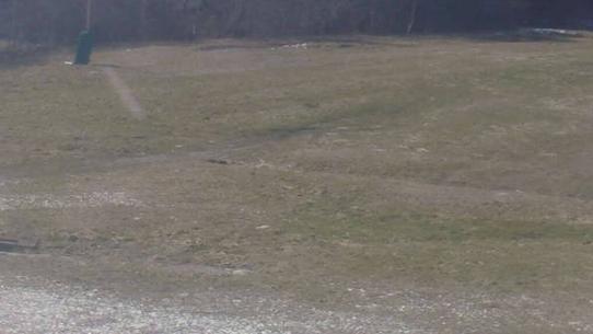 Chalmazel - Les Campanules