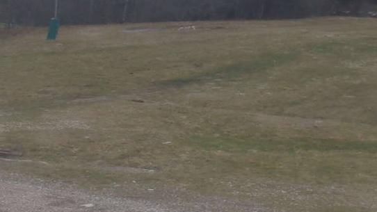 Chalmazel - Les Campanules