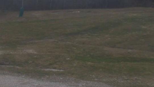 Chalmazel - Les Campanules