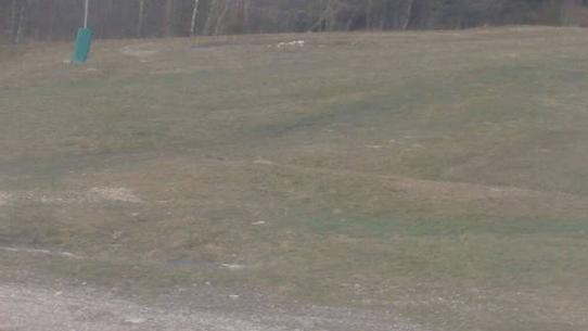 Chalmazel - Les Campanules