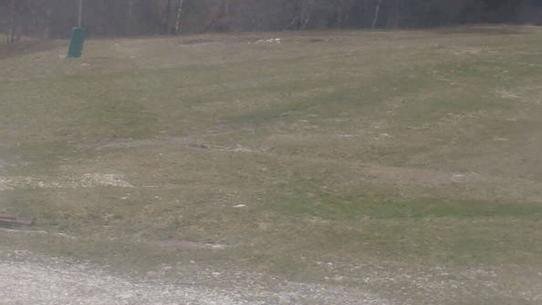 Chalmazel - Les Campanules